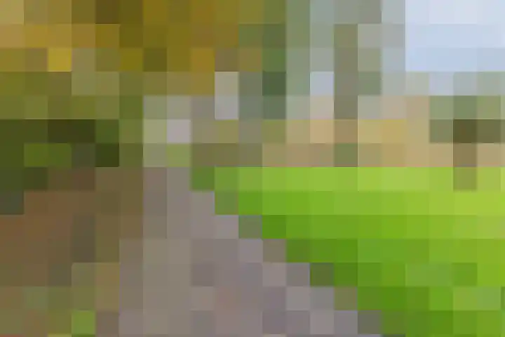 Sandenburg 249 Haarlem thumbnail 48