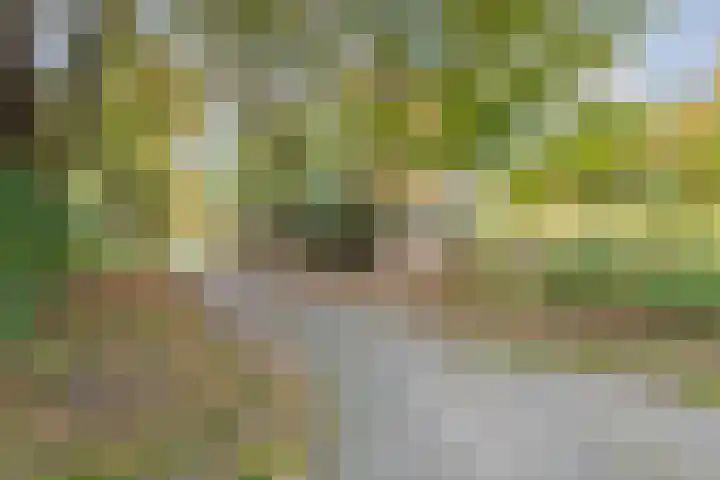 Sandenburg 249 Haarlem thumbnail 49