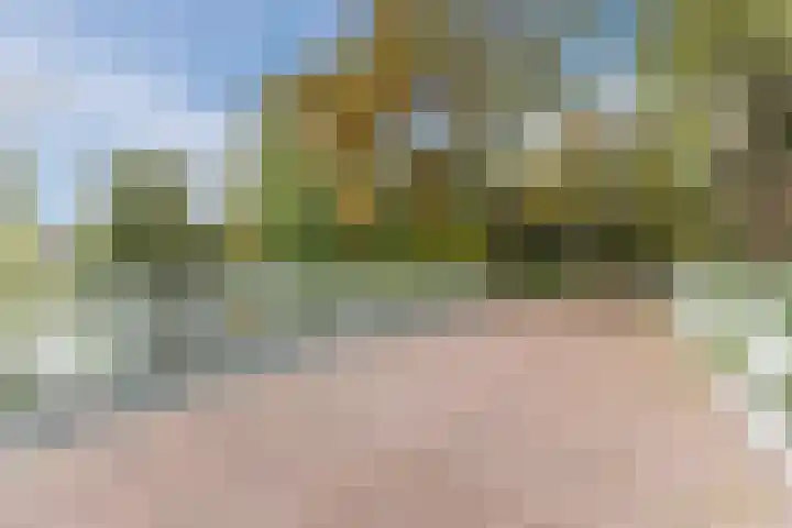 Sandenburg 249 Haarlem thumbnail 50