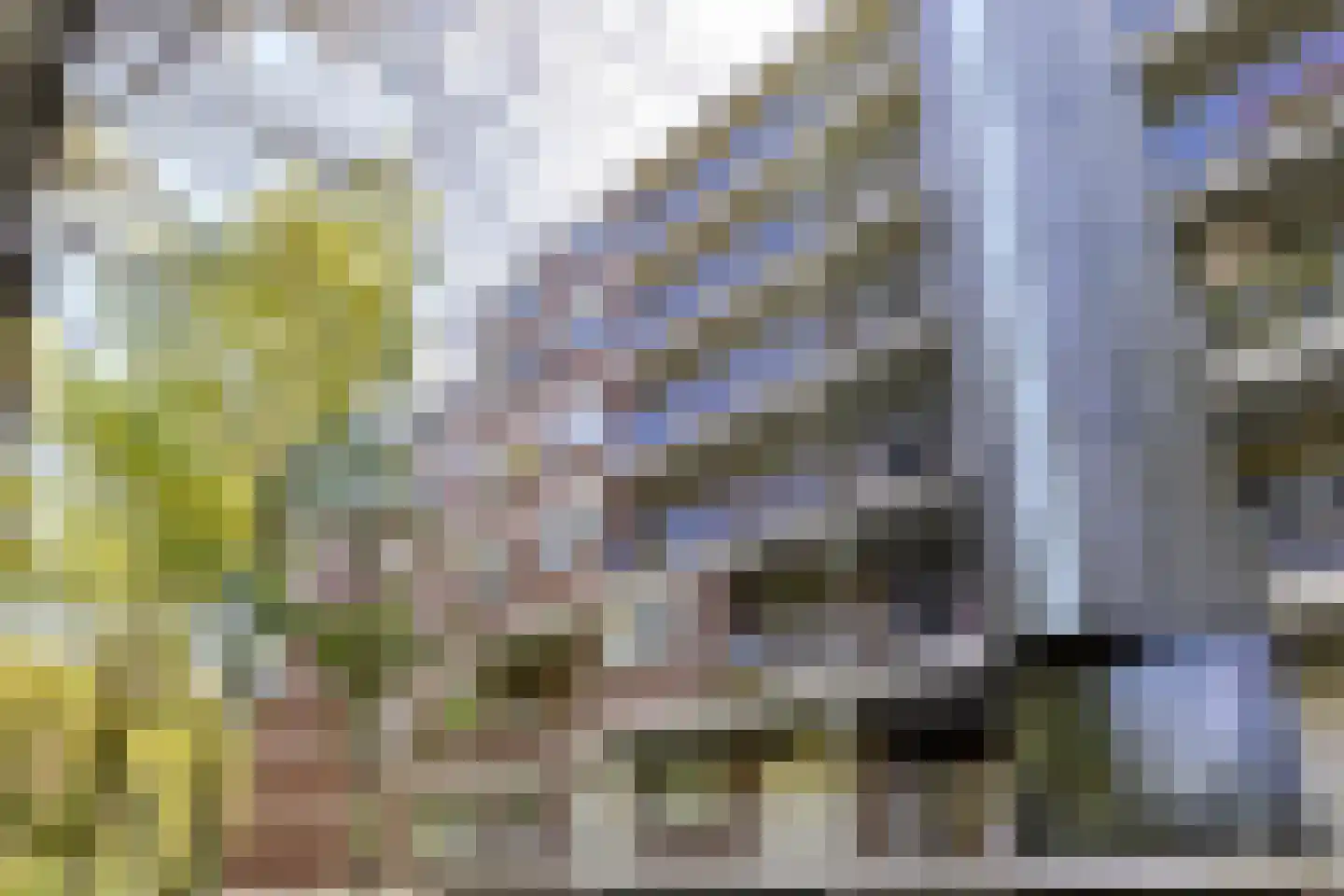 Sandenburg 267 Haarlem thumbnail 20