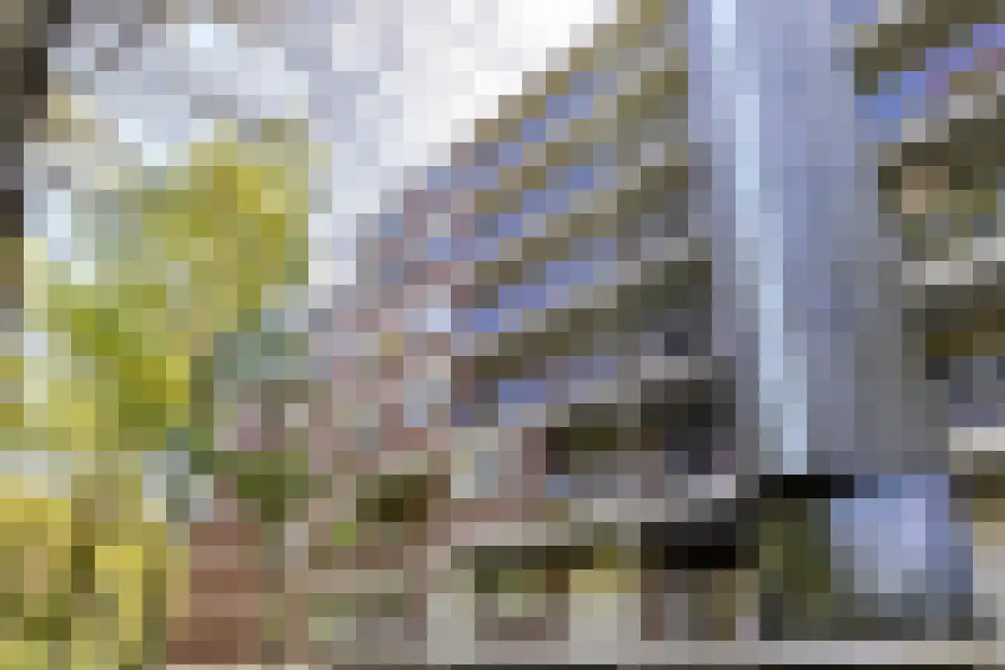 Sandenburg 267 Haarlem thumbnail 20