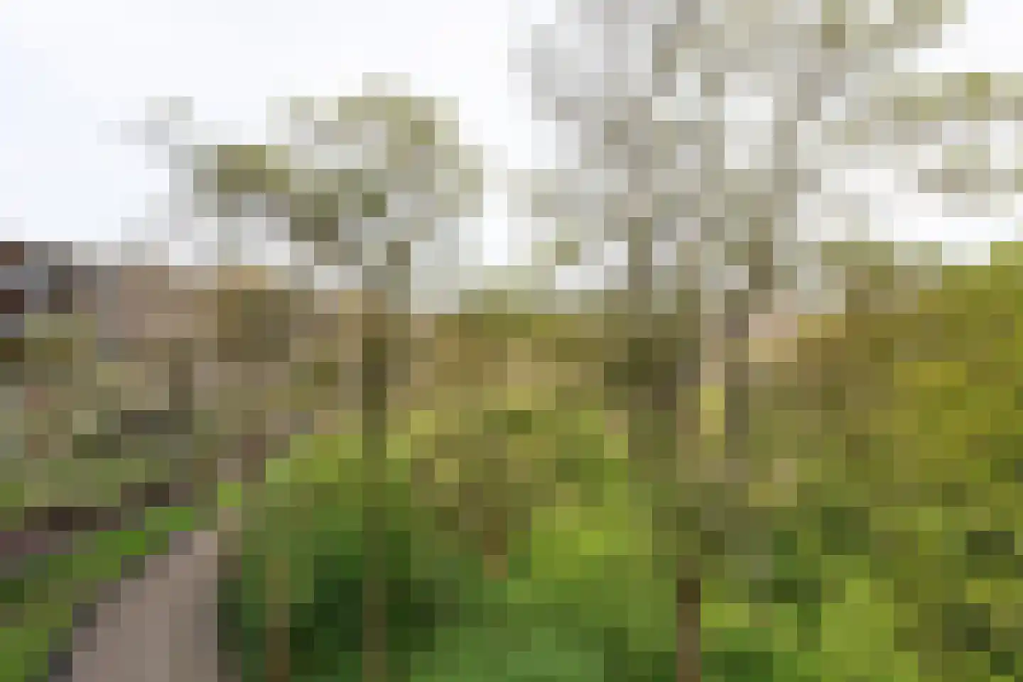 Sandenburg 277 Haarlem thumbnail 22