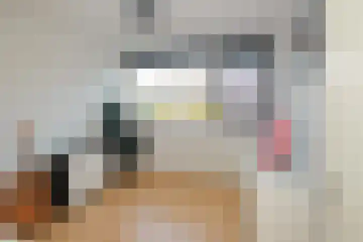 Sandenburg 3 Almelo thumbnail 17