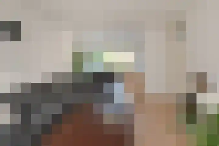 Sandenburg 3 Almelo thumbnail 8