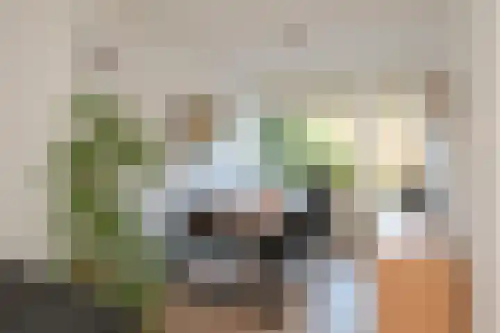 Sandenburg 3 Almelo thumbnail 9