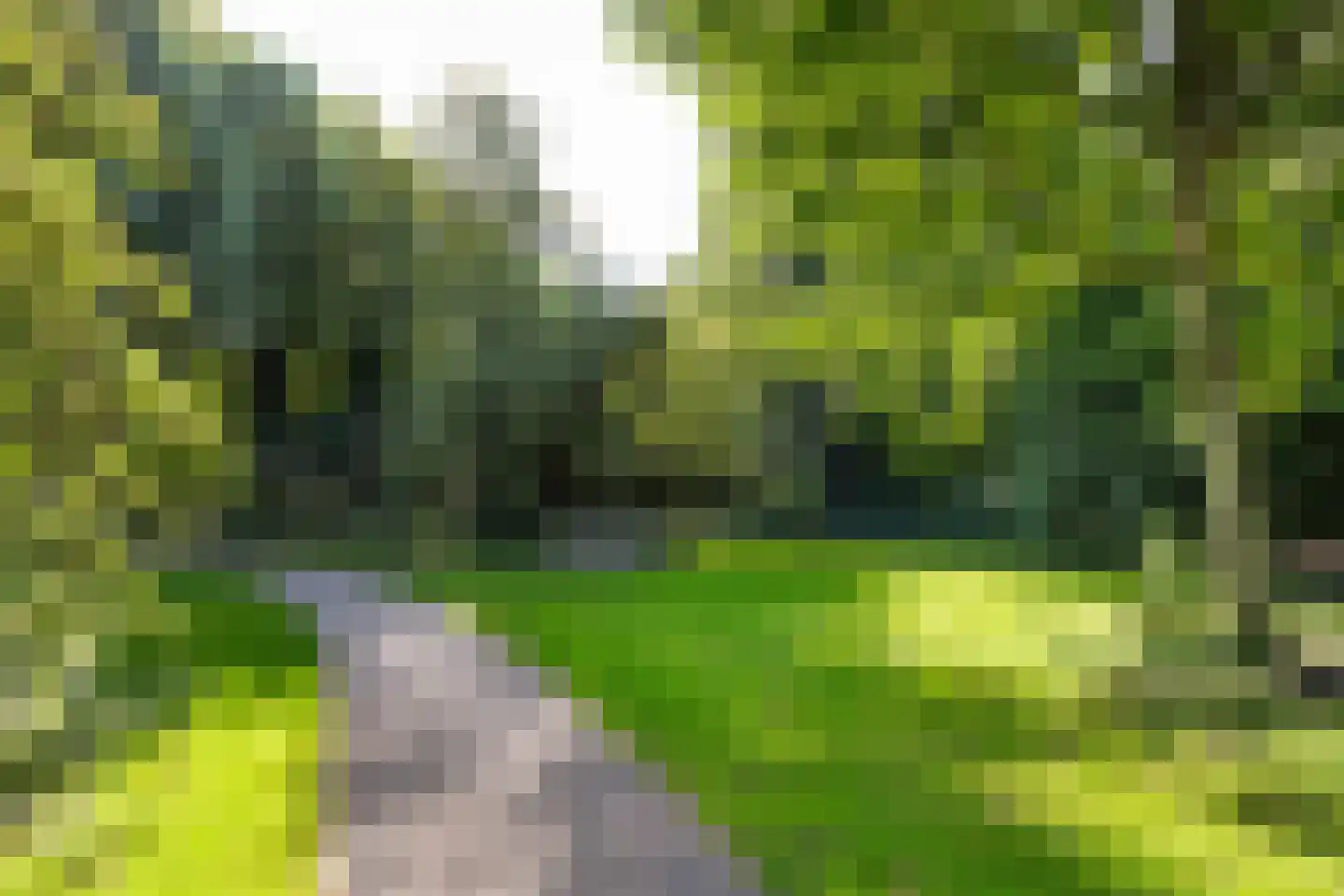 Sandenburg 327 Haarlem thumbnail 25