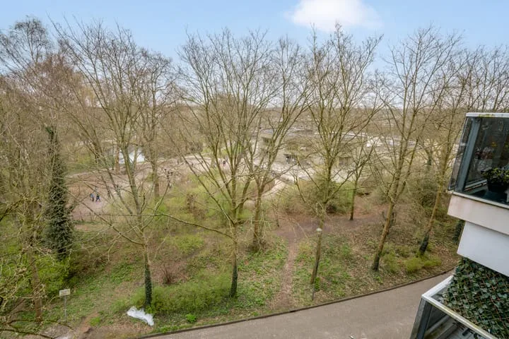 Sandenburg 347 Haarlem thumbnail 31