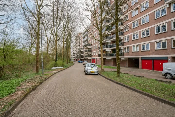 Sandenburg 347 Haarlem thumbnail 39