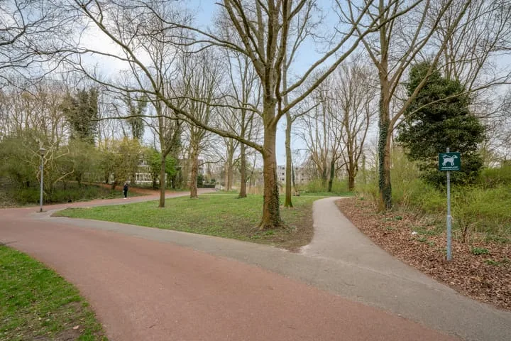 Sandenburg 347 Haarlem thumbnail 41