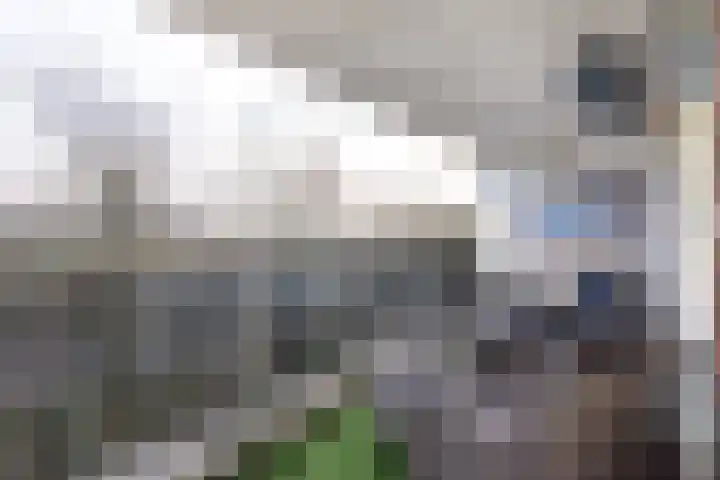 Sandenburg 399 Haarlem thumbnail 16