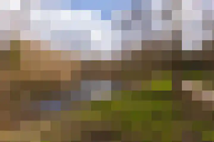 Sandenburg 399 Haarlem thumbnail 19