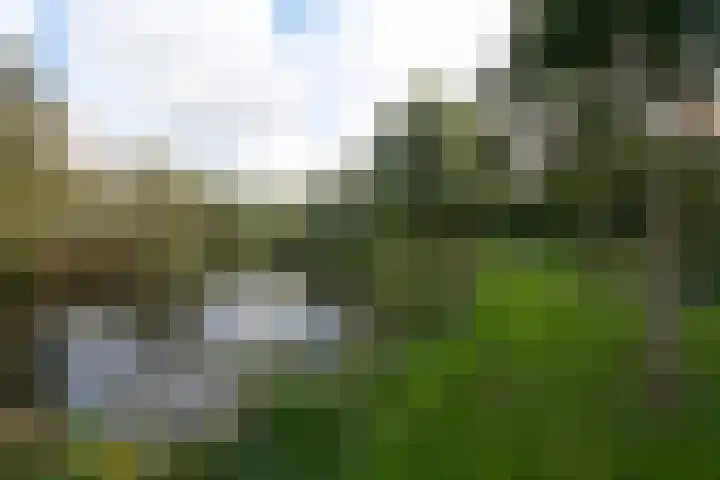 Sandenburg 449 Haarlem thumbnail 26