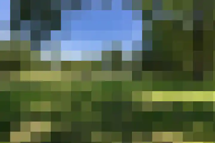 Sandenburg 449 Haarlem thumbnail 28