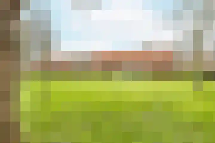 Sandenburg 45 Vlissingen thumbnail 25