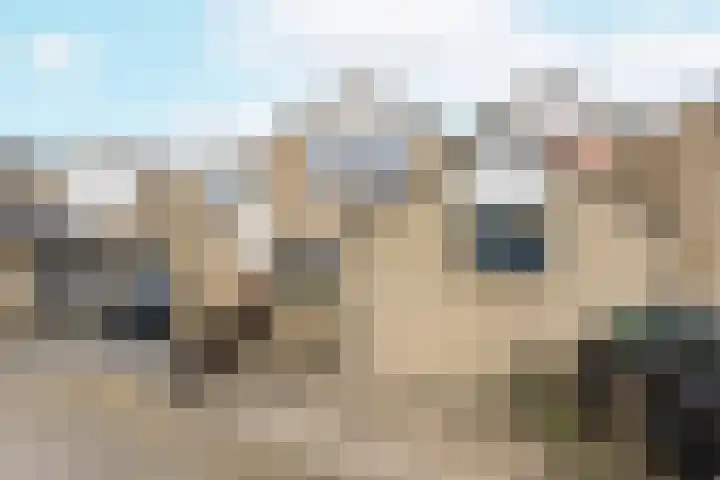 Sandenburg 45 Vlissingen thumbnail 5