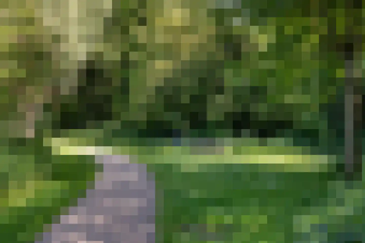 Sandenburg 47 Haarlem thumbnail 24