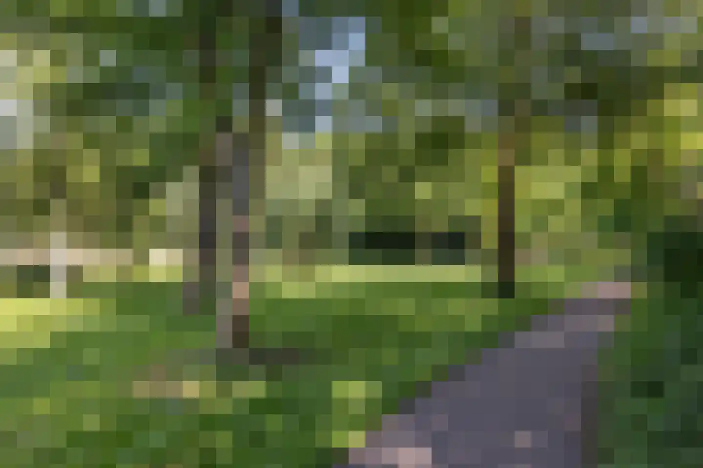 Sandenburg 47 Haarlem thumbnail 25