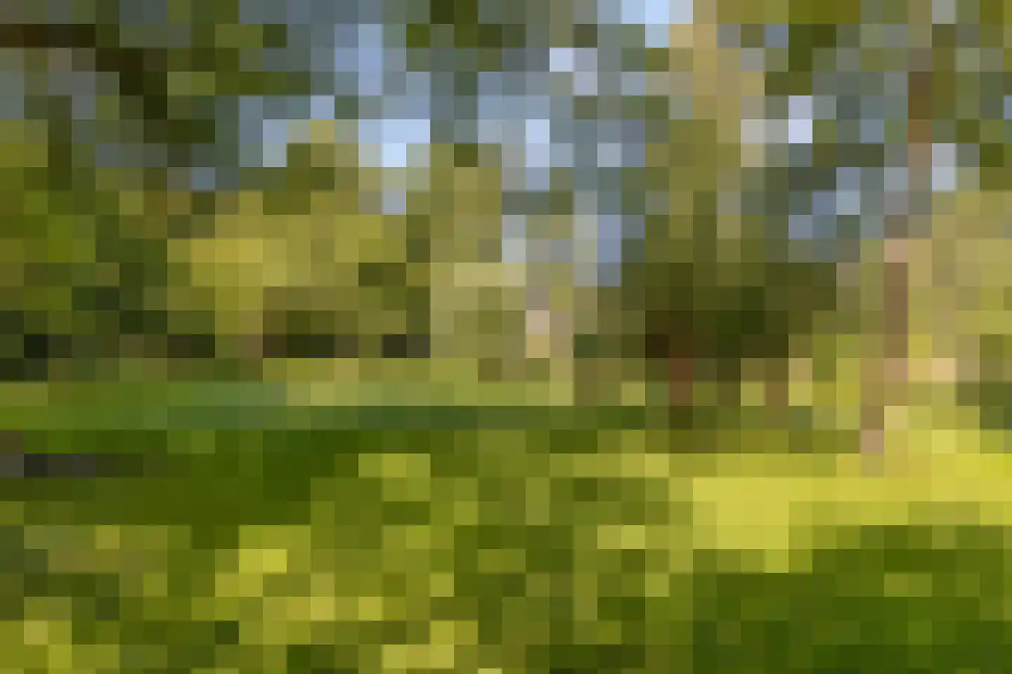 Sandenburg 511 Haarlem thumbnail 35