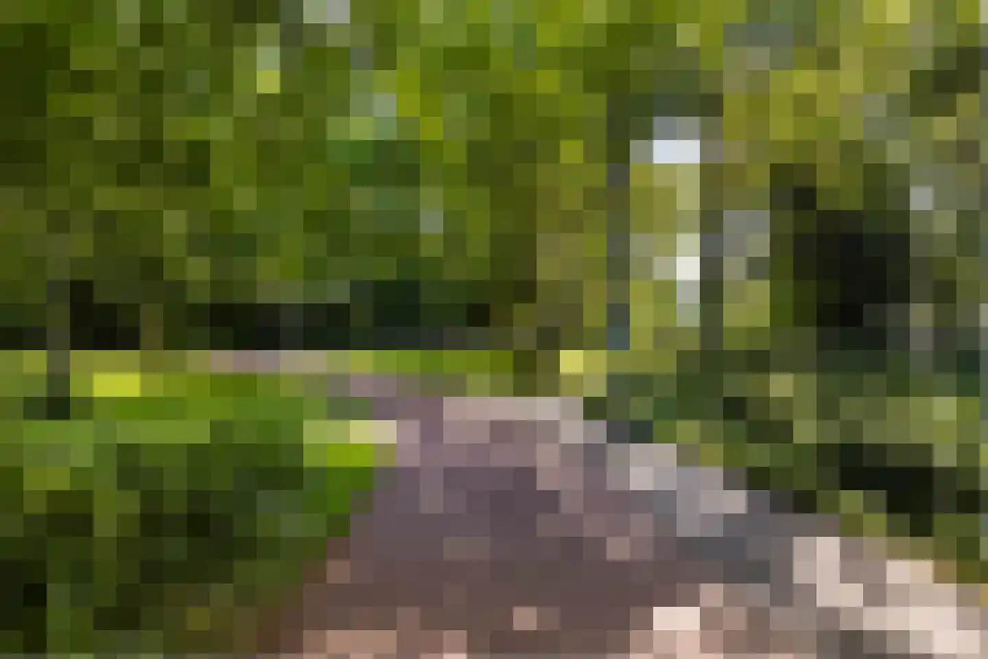 Sandenburg 511 Haarlem thumbnail 36