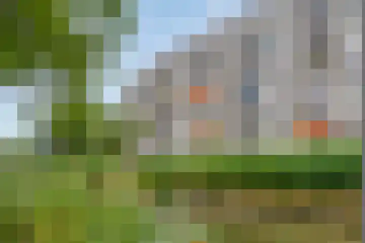Sandenburg 513 Haarlem thumbnail 24