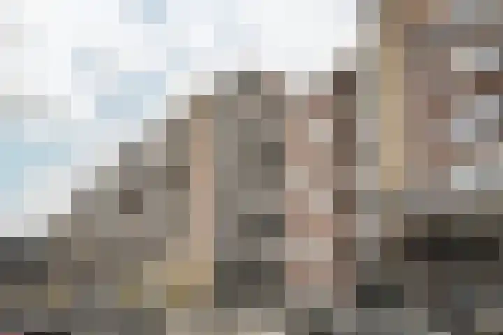 Sandenburg 513 Haarlem thumbnail 30