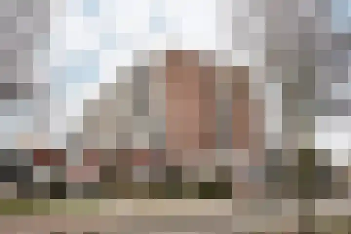 Sandenburg 513 Haarlem thumbnail 31
