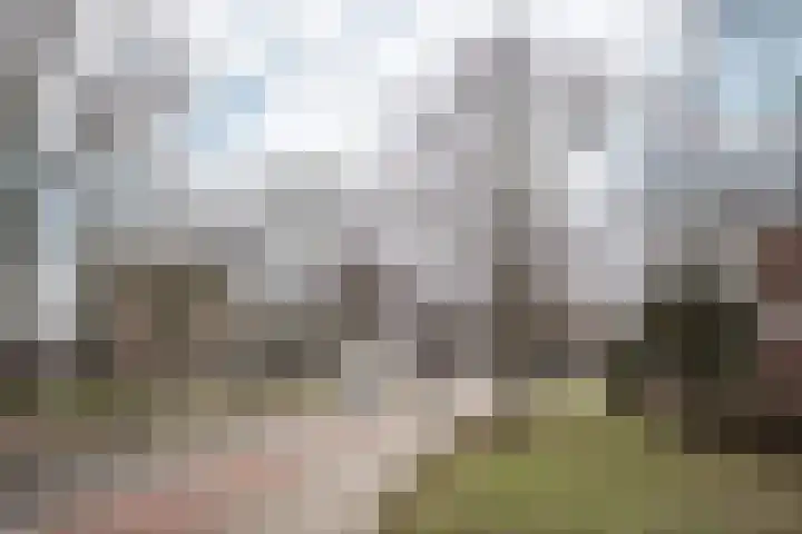 Sandenburg 513 Haarlem thumbnail 32