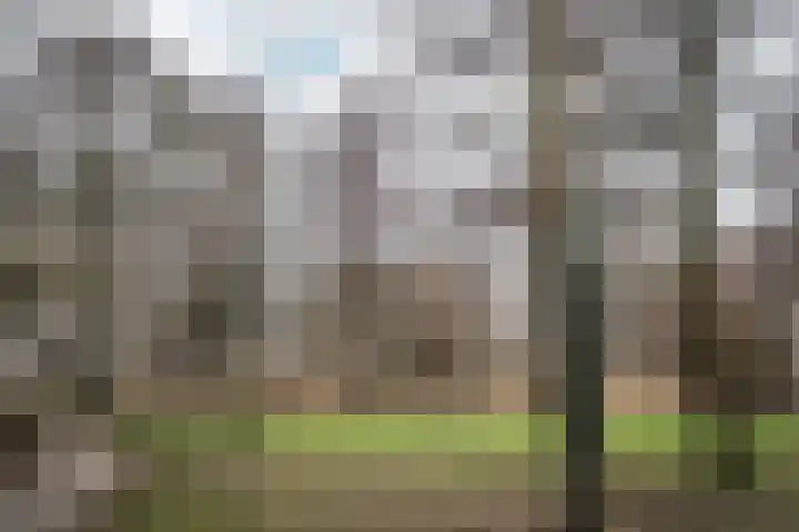 Sandenburg 513 Haarlem thumbnail 33
