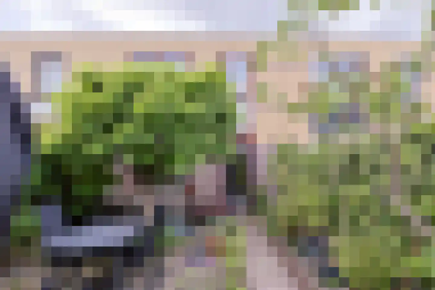 Sandenburg 55 Alphen aan den Rijn thumbnail 34