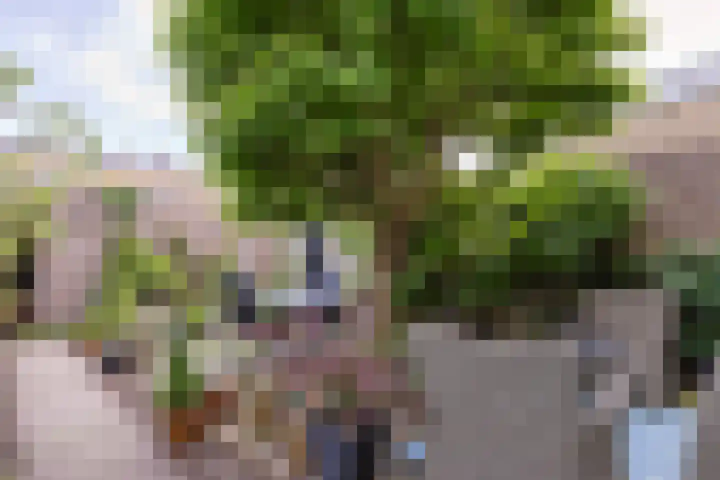 Sandenburg 55 Alphen aan den Rijn thumbnail 35