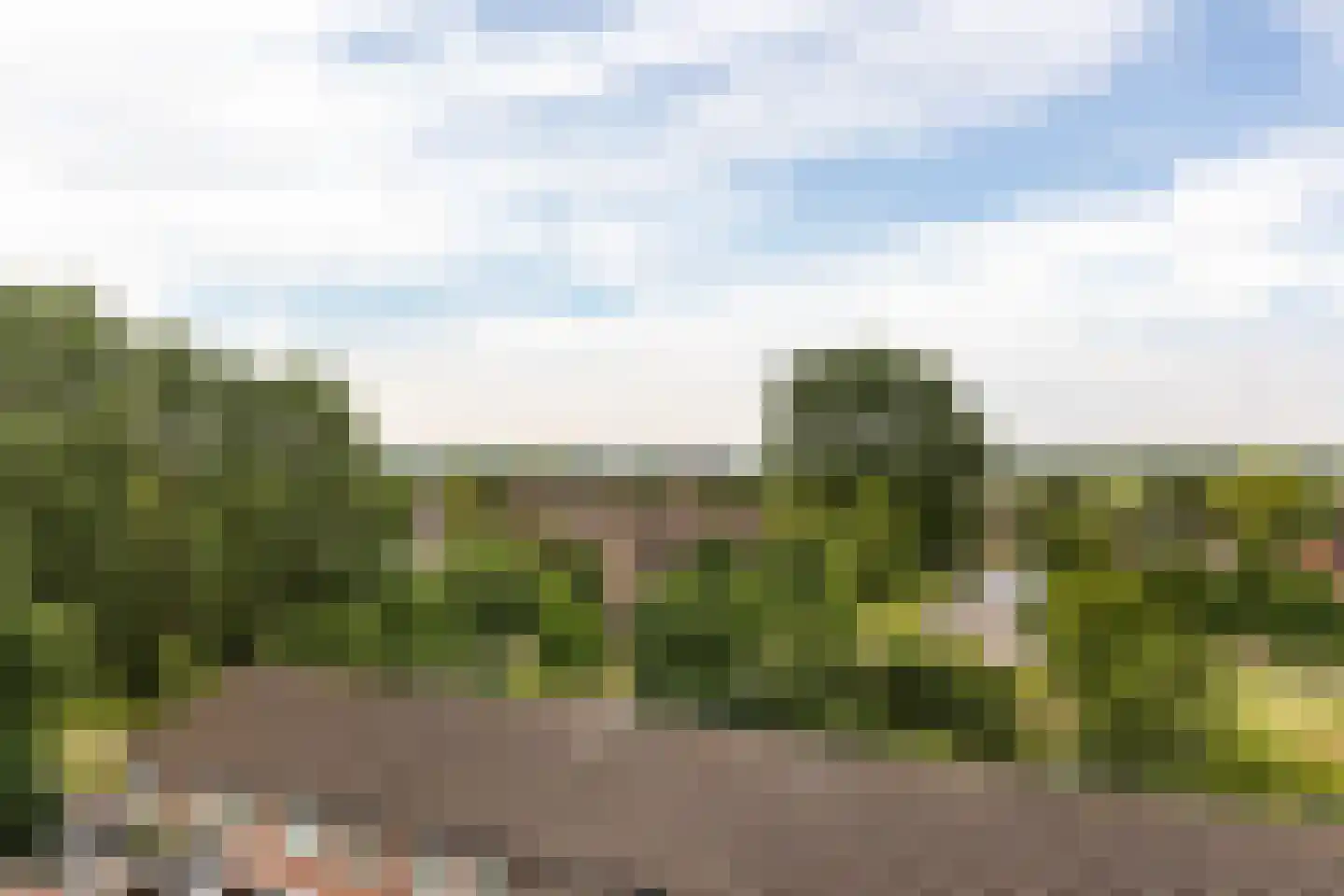 Sandenburg 571 Haarlem thumbnail 12