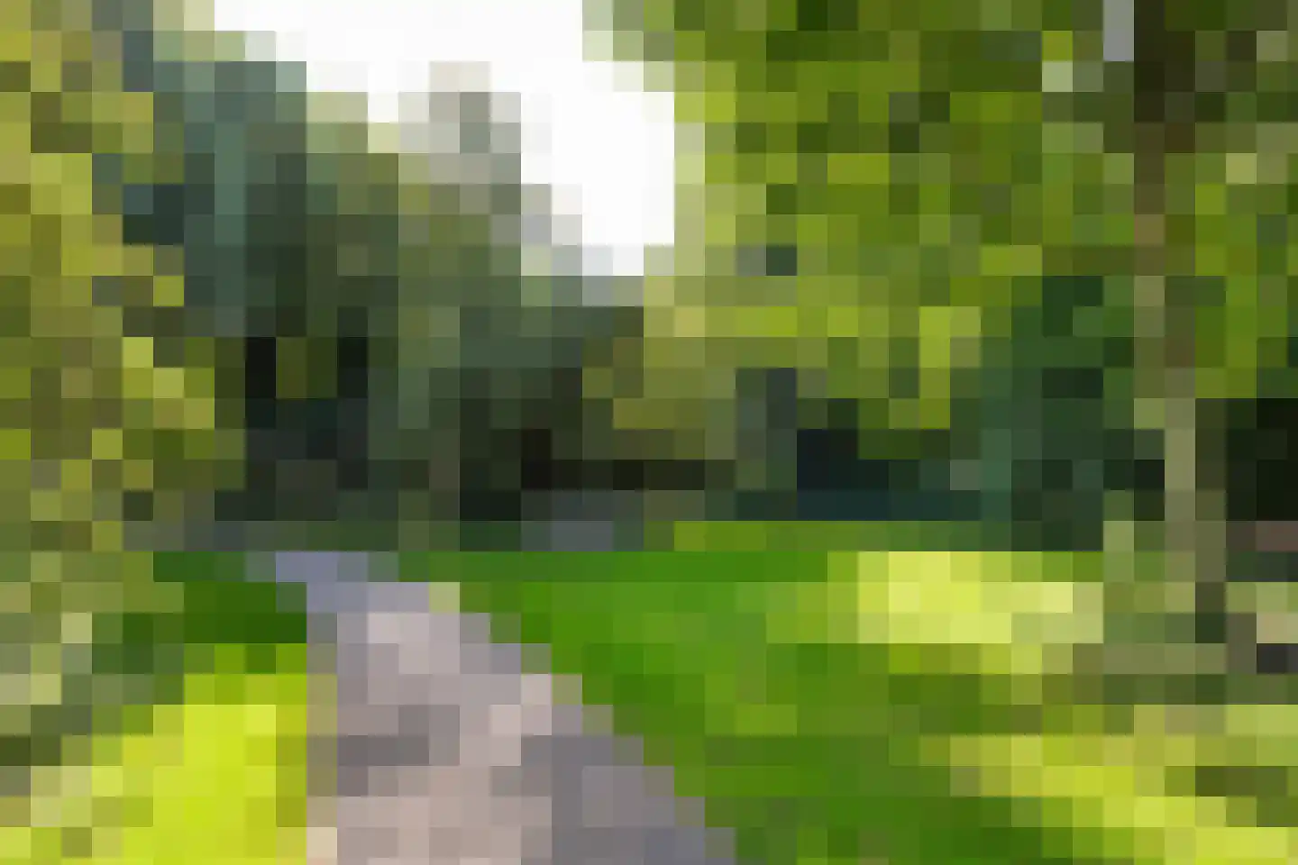 Sandenburg 571 Haarlem thumbnail 30