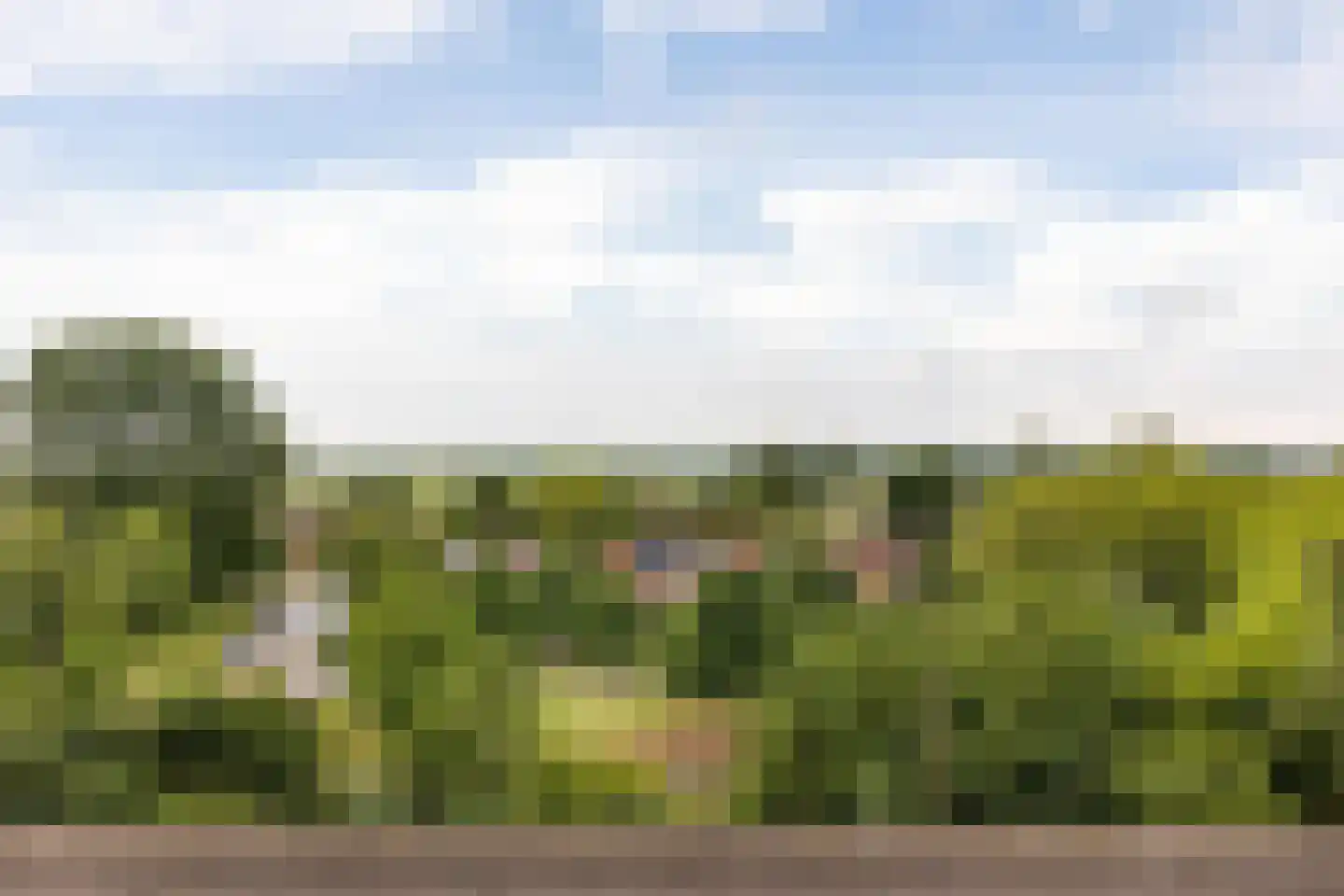 Sandenburg 571 Haarlem thumbnail 9