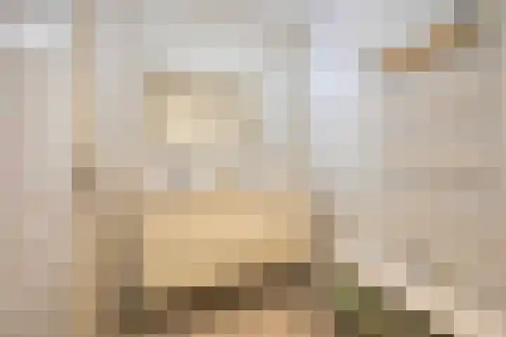 Sandenburg 6 Haarlem thumbnail 22