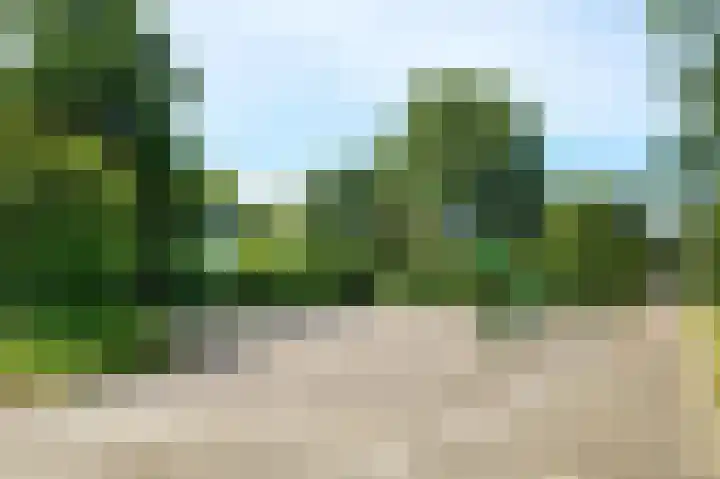 Sandenburg 6 Haarlem thumbnail 31