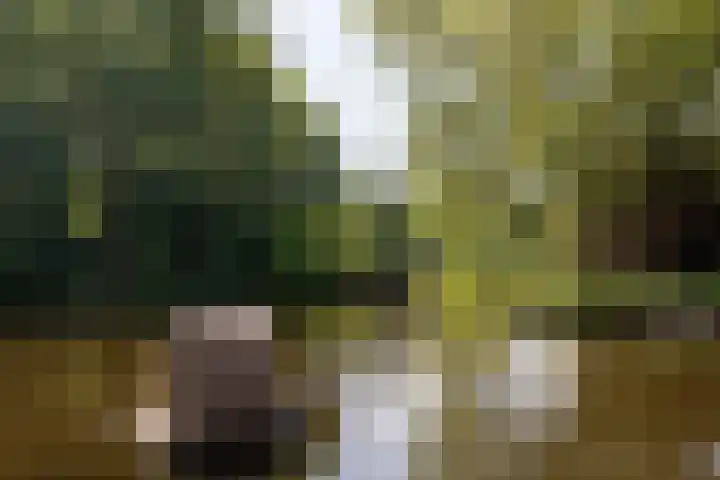 Sandenburg 6 Haarlem thumbnail 32