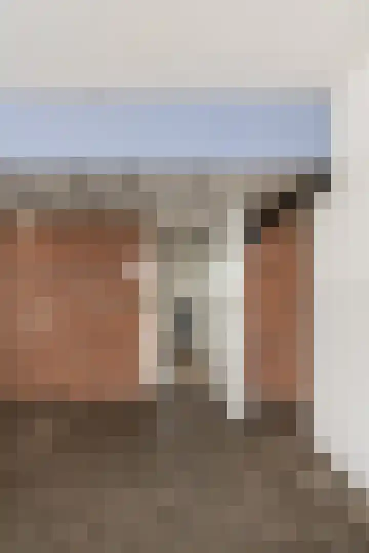 Sandenburg 62 Haarlem thumbnail 22