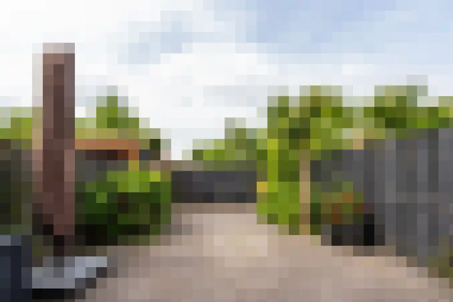 Sandenburg 72 Haarlem thumbnail 20