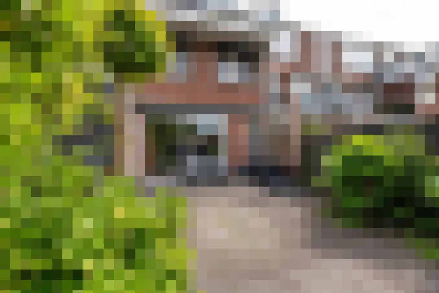 Sandenburg 72 Haarlem thumbnail 22