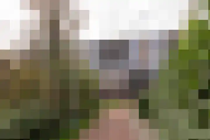 Sandenburg 77 Haarlem thumbnail 23