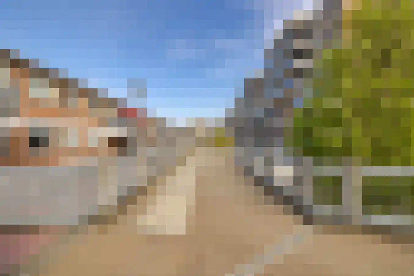 Sandenburg 86 Haarlem thumbnail 37