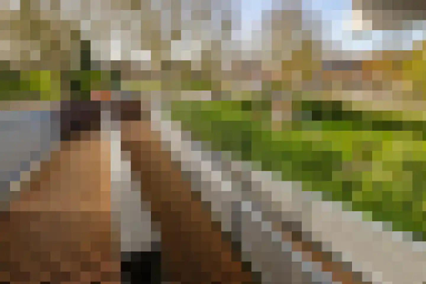 Sandenburg 86 Haarlem thumbnail 38