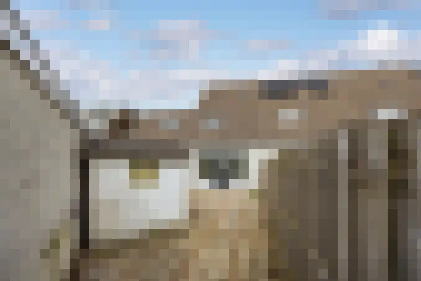 Sandenburg 9 Leusden thumbnail 17