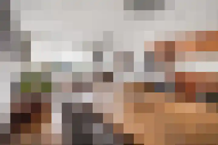 Sandenburg 93 Haarlem thumbnail 8