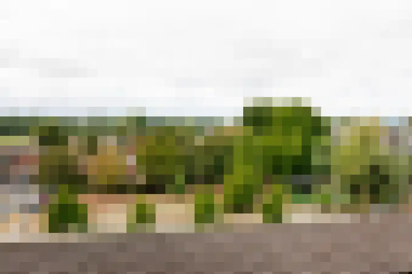 Sandenburg 97 Haarlem thumbnail 21