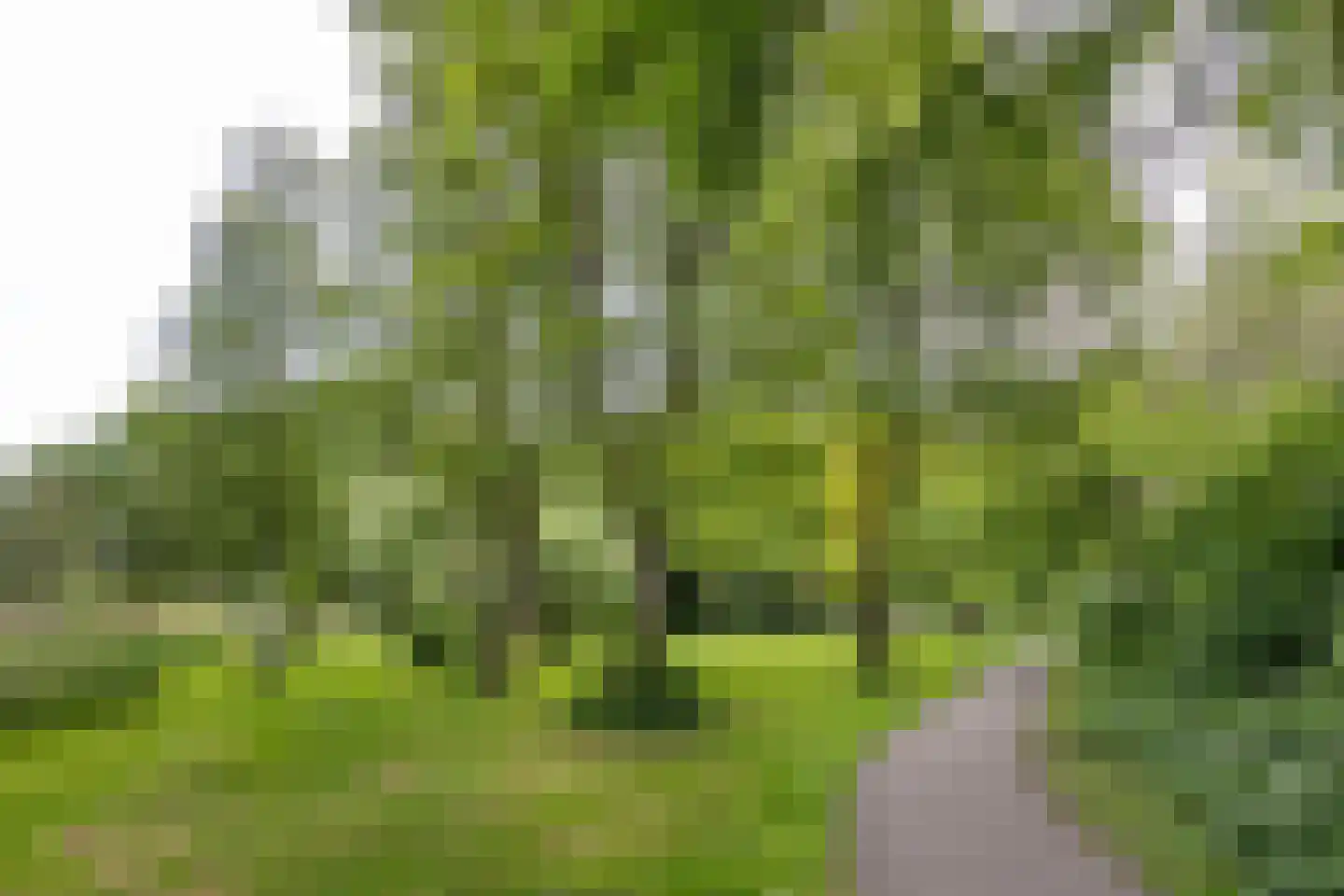 Sandenburg 97 Haarlem thumbnail 26