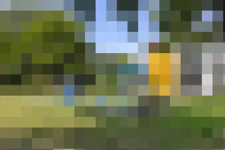 Sandenburg 99 Haarlem thumbnail 24