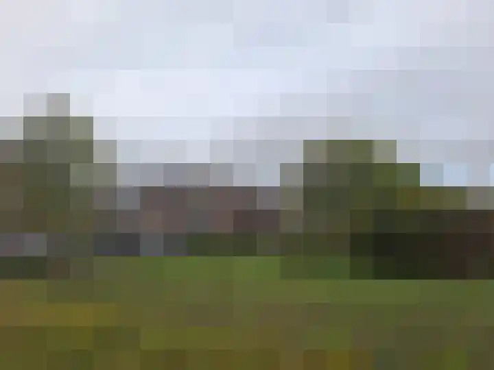 Sandenburgbaan 3 Rotterdam thumbnail 15