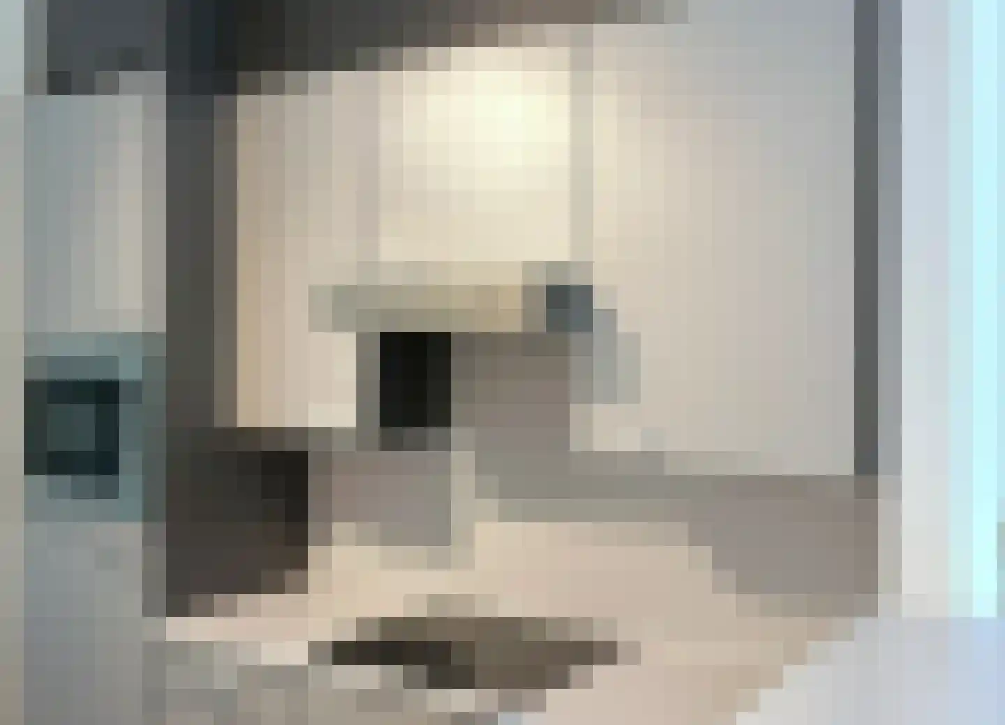 Sandenburghlaan 10 Veere thumbnail 12