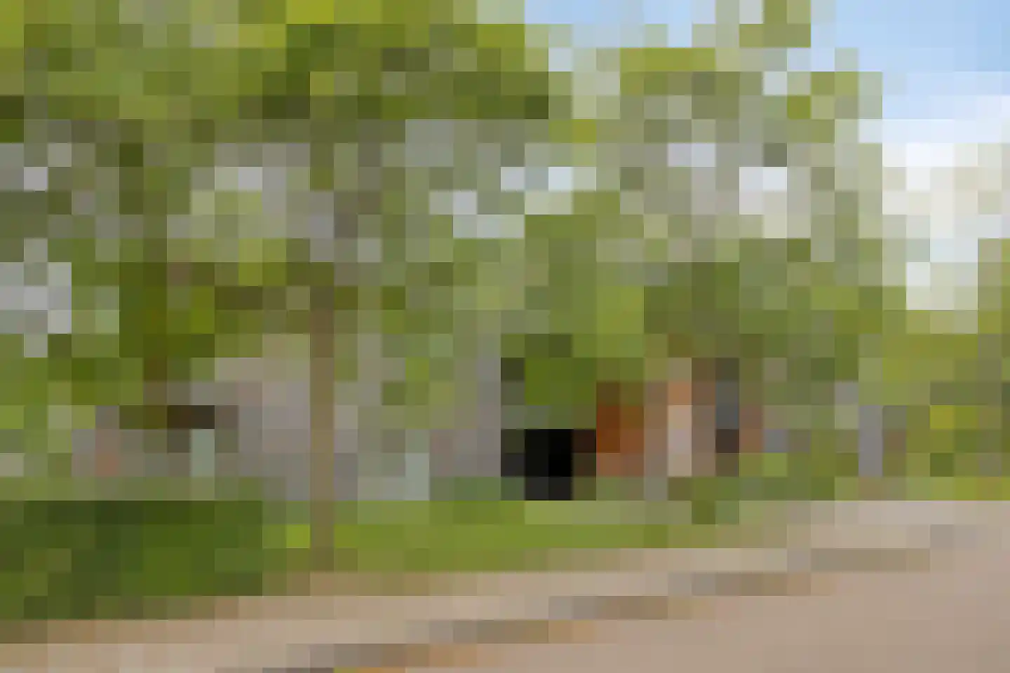 Sandenburghlaan 12 B Veere thumbnail 23